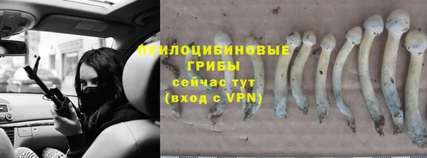 спиды Бородино
