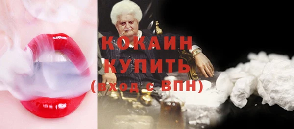 спиды Бородино