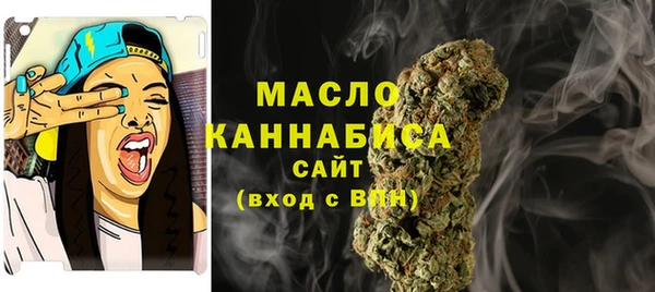 спиды Бородино