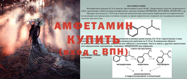 спиды Бородино